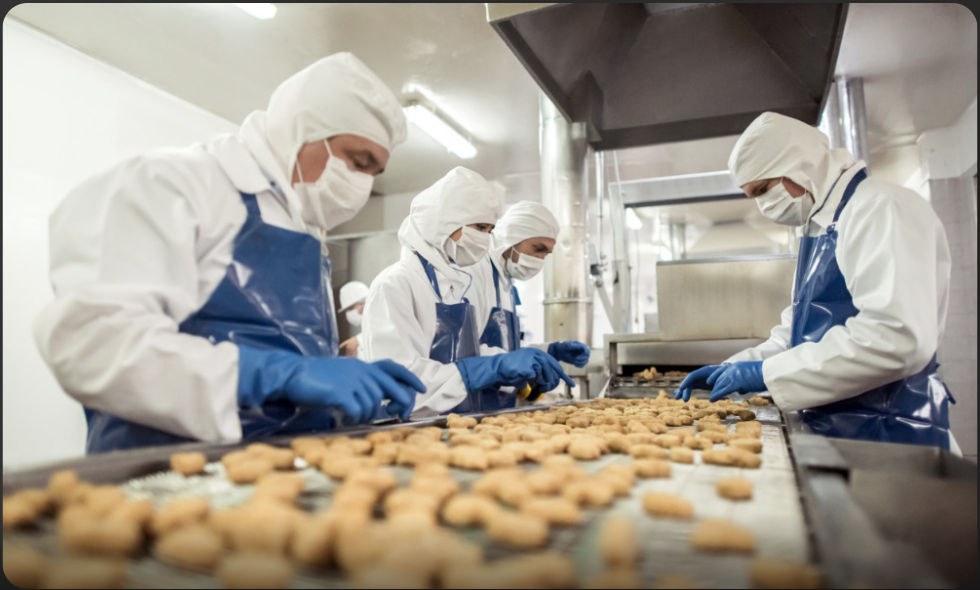 Food-Safe Production Lines